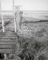 Fuji_645W_Foma100_100_Rodinal_12B25_img015_low.jpg