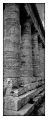 Nom du fichier=IDT_8243.JPG
Taille du fichier=323Ko
Dimensions : 405x996
Ajouté le : 21 Octobre 2022 IDT_8243.JPG