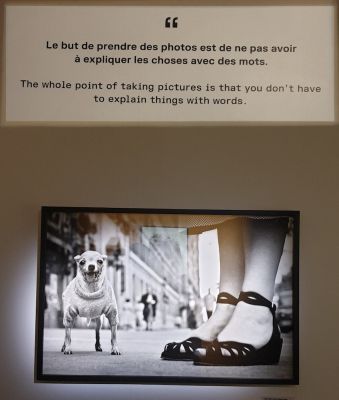 expo Erwitt

