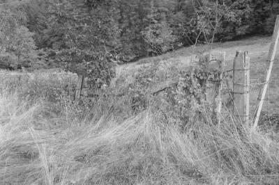 DSC_6421.jpg