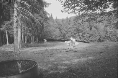 DSC_6424.jpg