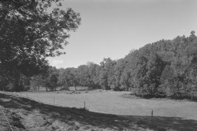 DSC_6431.jpg