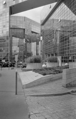 DSC_6462.JPG