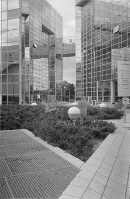 DSC_6463.JPG