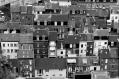 DSC_6741small.jpg