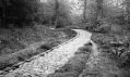 chemin_pave.jpg