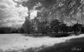 IR-2024-03-06019.JPG