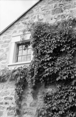 1997-07-09-17
Saint-Eustache (Qc), 1997-07-09.
Zenit E, T-Max 400, Microdol-X.
