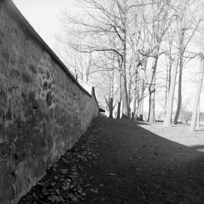 2001-11-16-10
Saint-Eustache (Qc), 2001-11-16.
Yashica-D, T-Max 100.
