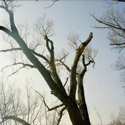 2001-11-20-08
Terrebonne (Qc), 2001-11-20.
Yashica-D, Portra 160VC.
