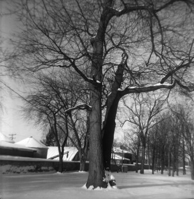 2001-12-31-05
Saint-Eustache (Qc), 2001-12-31.
Kodak Duaflex III, Verichrome Pan, ID-11.
