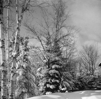2022-02-18-11
Estérel (Qc), 2022-02-18.
Zeiss Nettar II 518/16, FP4+, ID-11.
