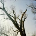 2001-11-20-08.jpg