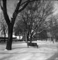 2001-12-31-04.jpg