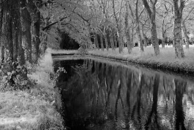 Château de la Ferté Vidame
Leica R7, 28mm, Rollei Rétro 80S
