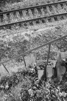 Rouen - Quais rive droite
Zeiss Ikon S310 - Kodak double X dans Microphen 1+3
