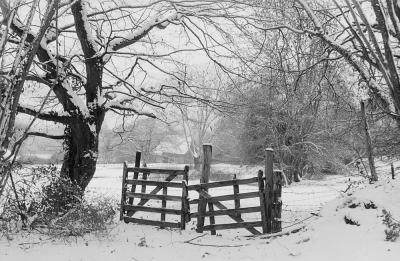 Neige en bocage
Exakta Varex IIa, Kodak XX
