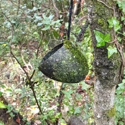 Diptyques - Exemple 4
