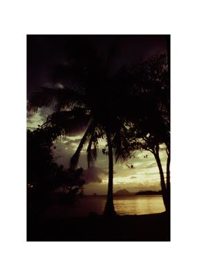Martinique_1995-2_C.jpg