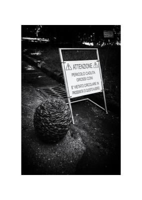 Pericolo_C.jpg