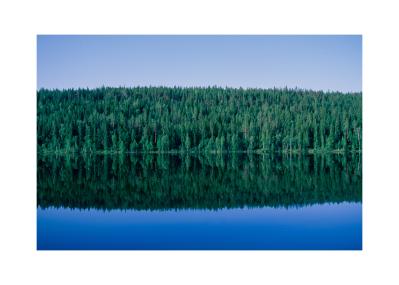 Velvia

