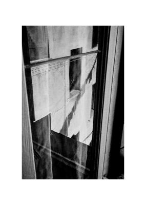 Rollei RPX 100
