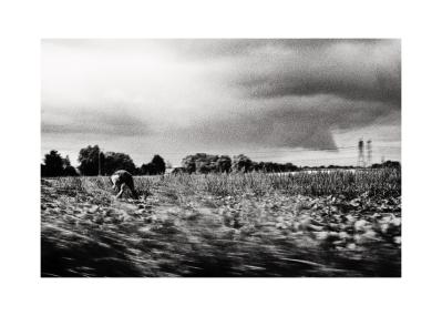 Ilford 100 Delta Pro
