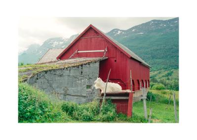 Un_ete_scandinave-8_C.jpg