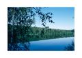 Un_ete_scandinave-3_C.jpg