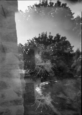 26C07.jpg