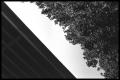 26F06.jpg