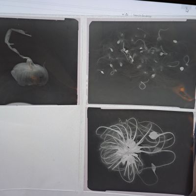 essai 4
temps développement x 3
