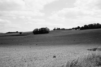 Un bout de campagne en Ile de France
Septembre 2025 - Minolta X500 28mm F:3.5 Ilford XP2
