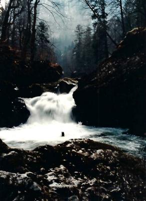 Chartreuse Mars 1986
Minolta X700
