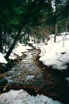 Saint Hugues de Charteuse Mars 1988
Minolta X700 - Fujicolor 100
Mots-clés: St Hugues de Chartreuse