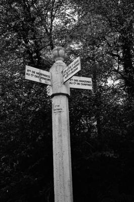 Forêt de Laigue (Oise) Novembre 2025
Minolta X500 Ilford XP2
