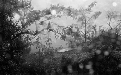 Tempête en Ile de France - Août 2025
Minolta X500 Ilford XP2
Mots-clés: Tempête en Ile de France - Août 2025