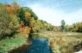 199610_Ontario_Kodak_Gold100.jpg