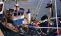 200305_Barfleur_28129.jpg