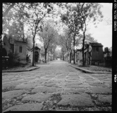 Père Lachaise : avenue transversale n°2
Mots-clés: Père_Lachaise sténopé