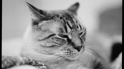 Oslo
Canon new F1/FD 50mm 1,4/Kodak Tx
