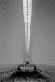 NYC_-_Pentax_Espio_Mini-2.jpg